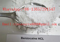 White Pharmacy Benzocaine HCl Powder CAS 23239-88-5 Local Anesthesia Colourless