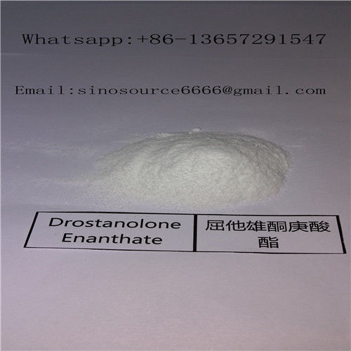 Pharmaceutical Injectable White Masteron Steroids Drostanolone Enanthate For Bodybuilding