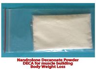 Nandrolone Decanoate Deca Durabolin 360-70-3