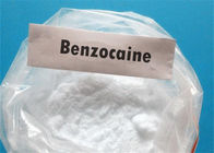 CAS 94-09-7 Local Anesthetic Drugs Benzocaine Powder High Purity GMP ISO Certification