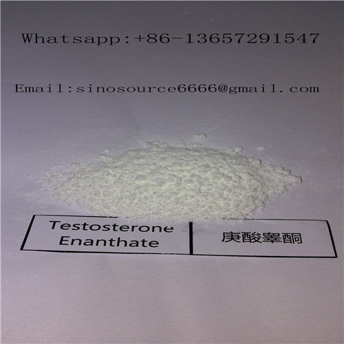 Injectable Anabolic Steroids Testosterone Enanthate CAS 315 37 7 White Powder High Puirty